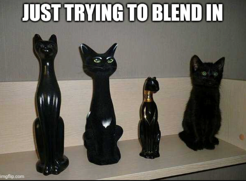 JUST TRYING TO BLEND IN imgflip.com 13