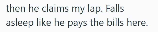 then he claims my lap. Falls asleep like he pays the bills here.