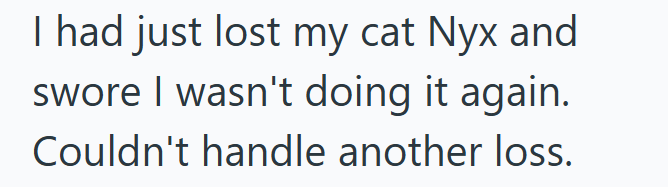 I had just lost my cat Nyx and swore I wasn't doing it again. Couldn't handle another loss.