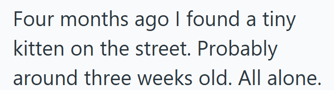 Four months ago I found a tiny kitten on the street. Probably around three weeks old. All alone.