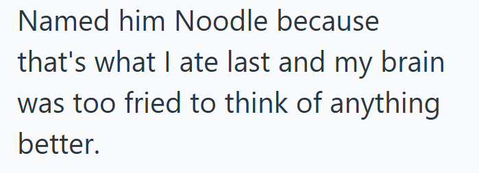 Named him Noodle because that's what I ate last and my brain was too fried to think of anything better.
