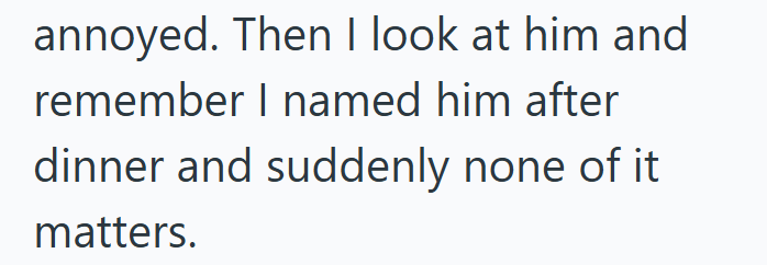 annoyed. Then I look at him and remember I named him after dinner and suddenly none of it matters.