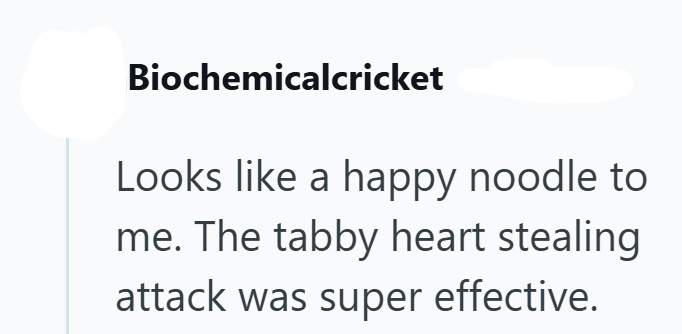 Biochemicalcricket Looks like a happy noodle to me. The tabby heart stealing attack was super effective.
