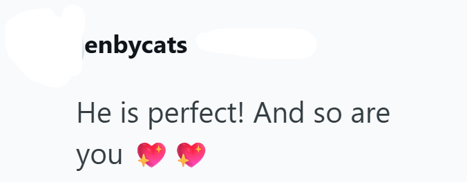 enbycats He is perfect! And so are you ❤❤