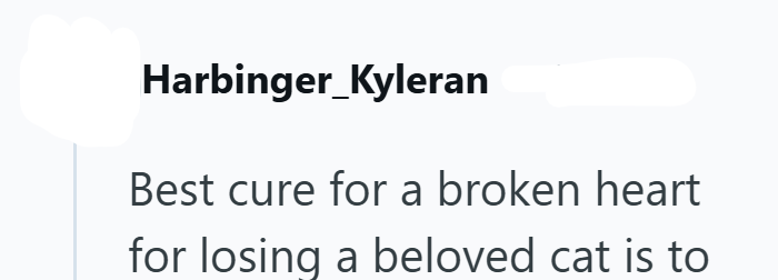 Harbinger_Kyleran Best cure for a broken heart for losing a beloved cat is to