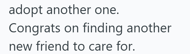 adopt another one. Congrats on finding another new friend to care for.