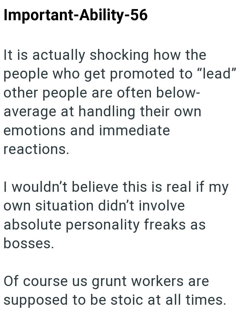 Important-Ability-56 It is actually shocking how the people who get promoted to "lead" other people are often below- average at handling their own. emotions and immediate reactions. I wouldn't believe this is real if my own situation didn't involve absolute personality freaks as bosses. Of course us grunt workers are supposed to be stoic at all times.