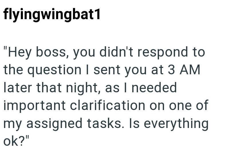 flyingwingbat1 "Hey boss, you didn't respond to the question I sent you at 3 AM later that night, as I needed. important clarification on one of my assigned tasks. Is everything ok?"