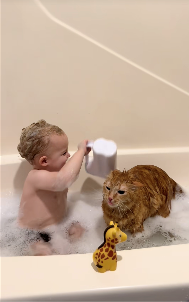 Orange cat deemed ‘Most Tolerant Cat’ by the internet after a video of him taking a bath with his favorite tiny human goes viral: ‘They were babies together!’