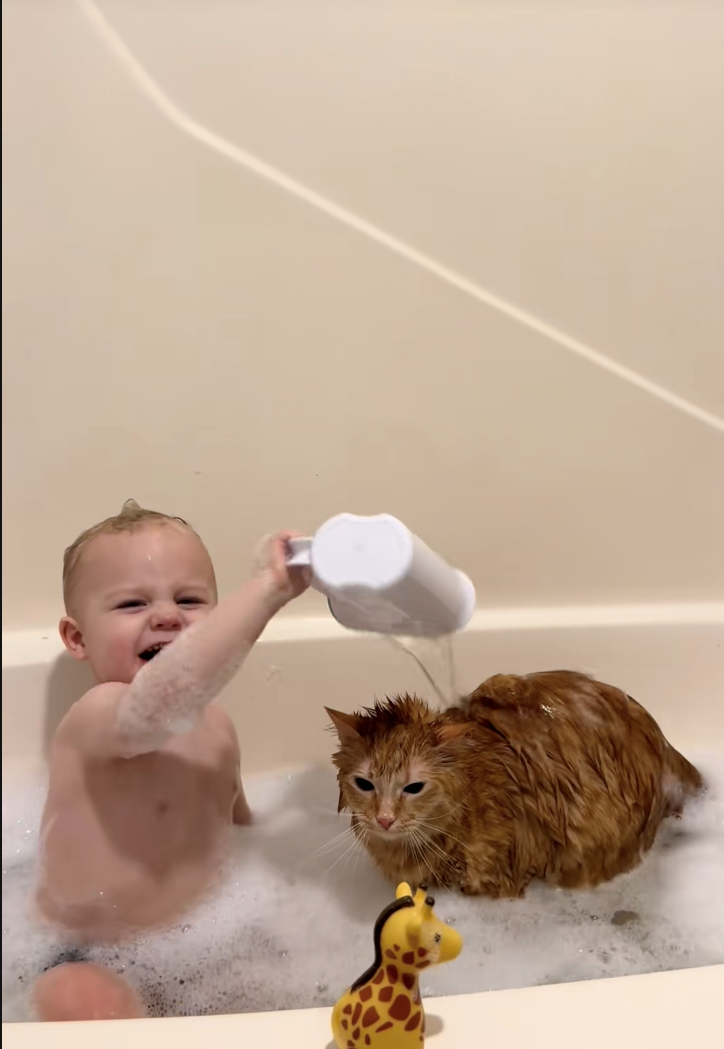 Orange cat deemed ‘Most Tolerant Cat’ by the internet after a video of him taking a bath with his favorite tiny human goes viral: ‘They were babies together!’