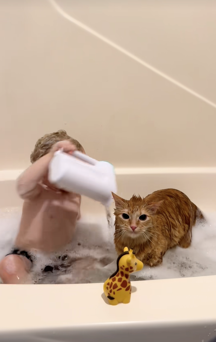 Orange cat deemed ‘Most Tolerant Cat’ by the internet after a video of him taking a bath with his favorite tiny human goes viral: ‘They were babies together!’
