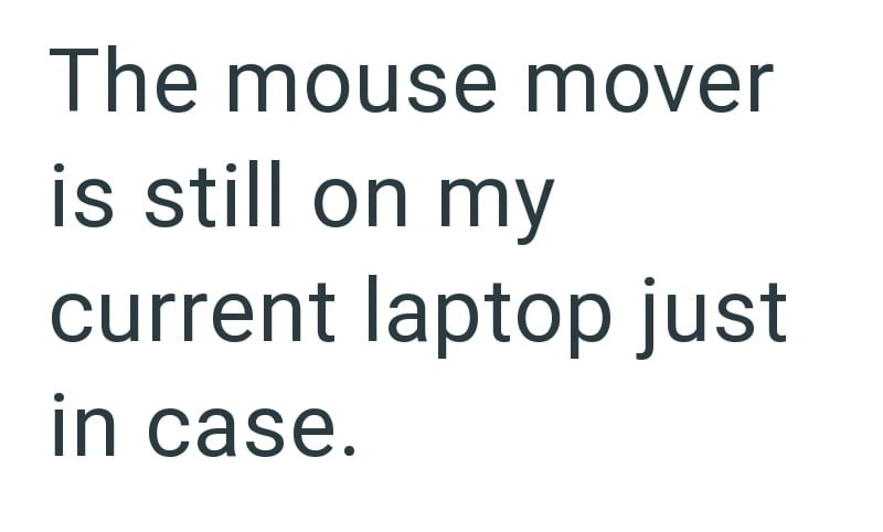 The mouse mover is still on my current laptop just in case.