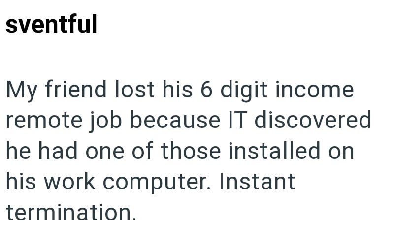 sventful My friend lost his 6 digit income remote job because IT discovered he had one of those installed on his work computer. Instant termination.