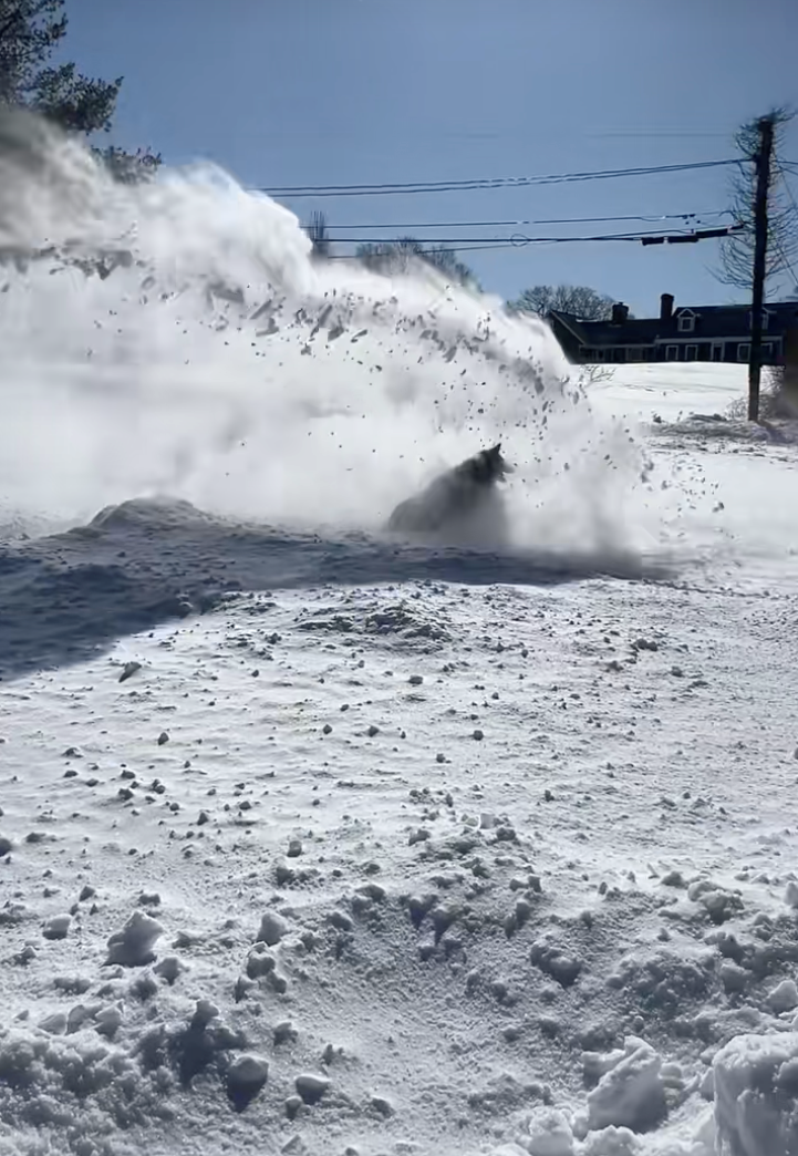 Rural homeowners ask to borrow their neighbor's snow blower, they say yes but only if they also have to take their dog with them, howlarity ensues: ‘She likes to play in the snow…'
