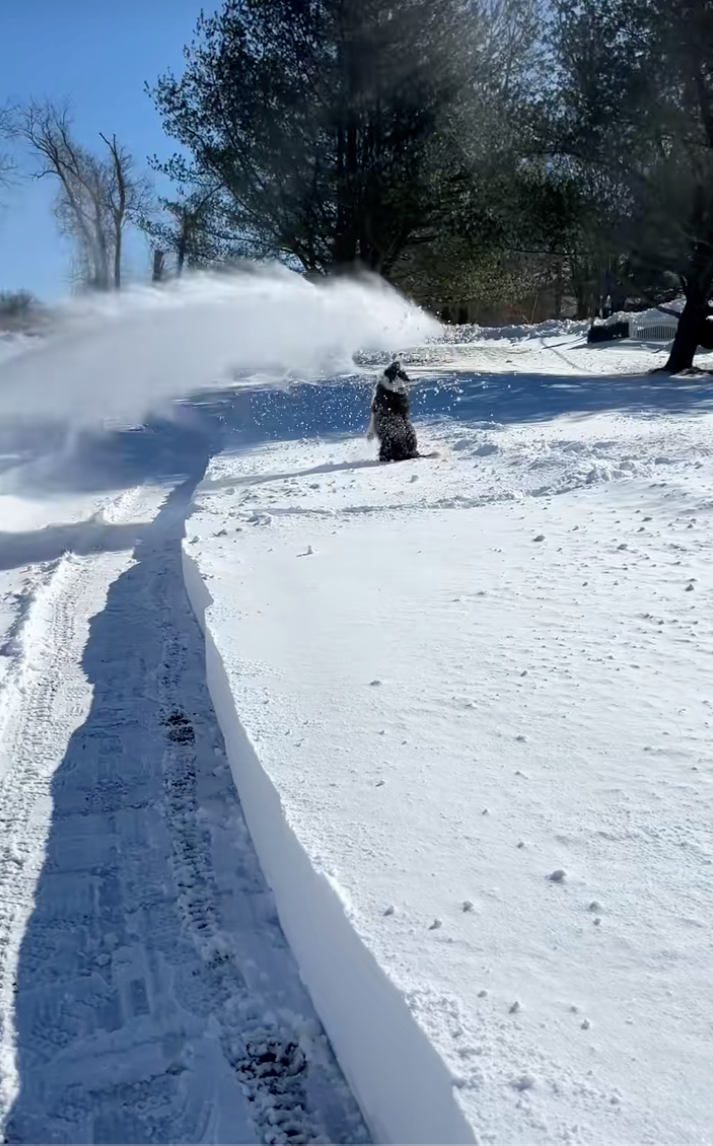 Rural homeowners ask to borrow their neighbor's snow blower, they say yes but only if they also have to take their dog with them, howlarity ensues: ‘She likes to play in the snow…'