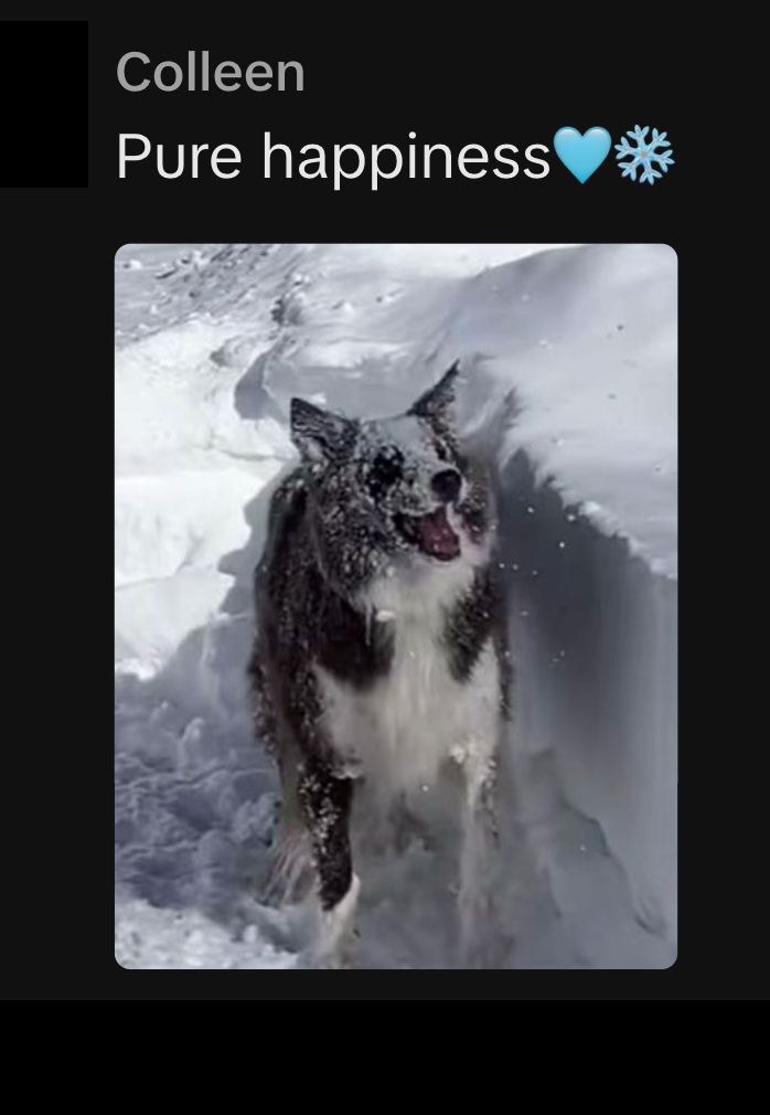 Colleen Pure happiness♥*