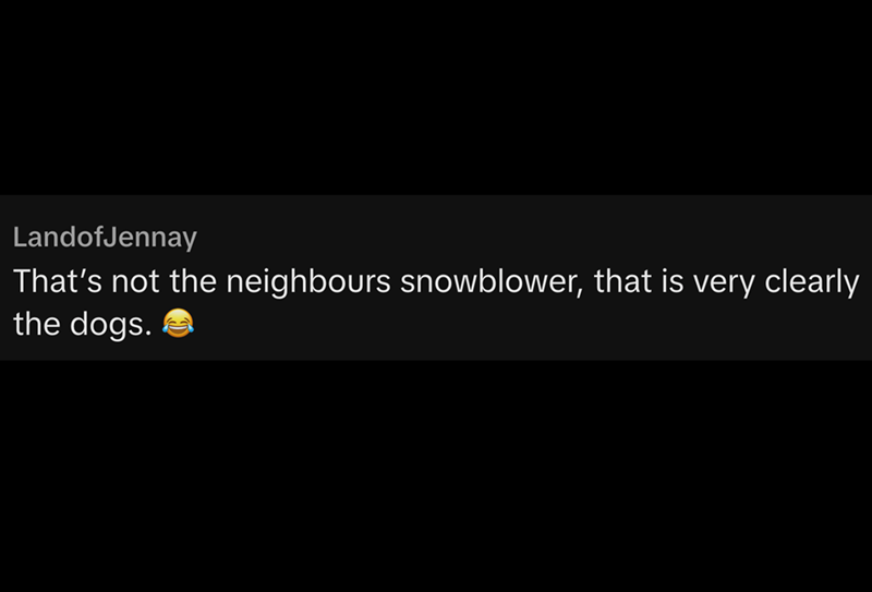 LandofJennay That's not the neighbours snowblower, that is very clearly the dogs.