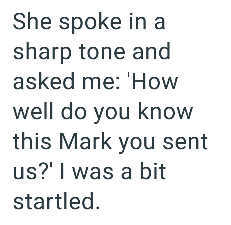 She spoke in a sharp tone and asked me: 'How well do you know this Mark you sent us?' I was a bit startled.