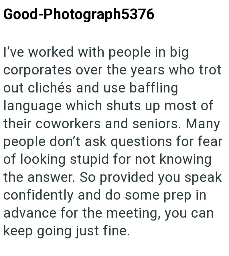 Good-Photograph5376 I've worked with people in big corporates over the years who trot out clichés and use baffling language which shuts up most of their coworkers and seniors. Many people don't ask questions for fear of looking stupid for not knowing the answer. So provided you speak confidently and do some prep in advance for the meeting, you can keep going just fine.