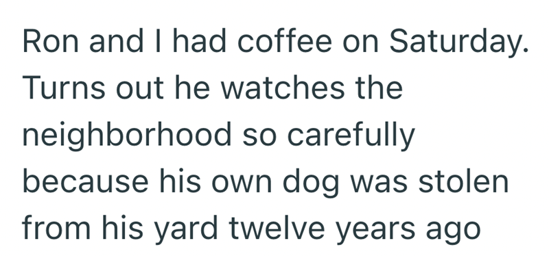 Ron and I had coffee on Saturday. Turns out he watches the neighborhood so carefully because his own dog was stolen from his yard twelve years ago