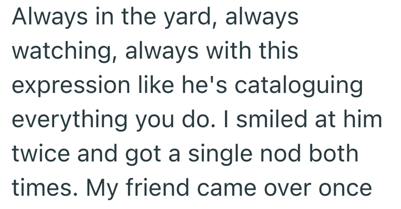 Always in the yard, always watching, always with this expression like he's cataloguing everything you do. I smiled at him twice and got a single nod both times. My friend came over once