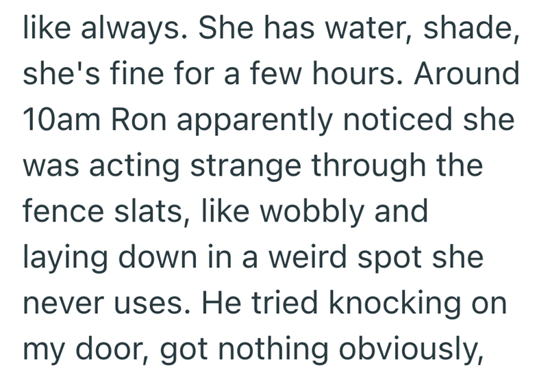 like always. She has water, shade, she's fine for a few hours. Around 10am Ron apparently noticed she was acting strange through the fence slats, like wobbly and laying down in a weird spot she never uses. He tried knocking on my door, got nothing obviously,