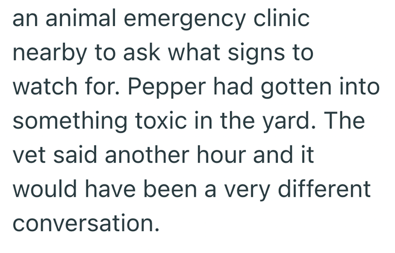 an animal emergency clinic nearby to ask what signs to watch for. Pepper had gotten into something toxic in the yard. The vet said another hour and it would have been a very different conversation.