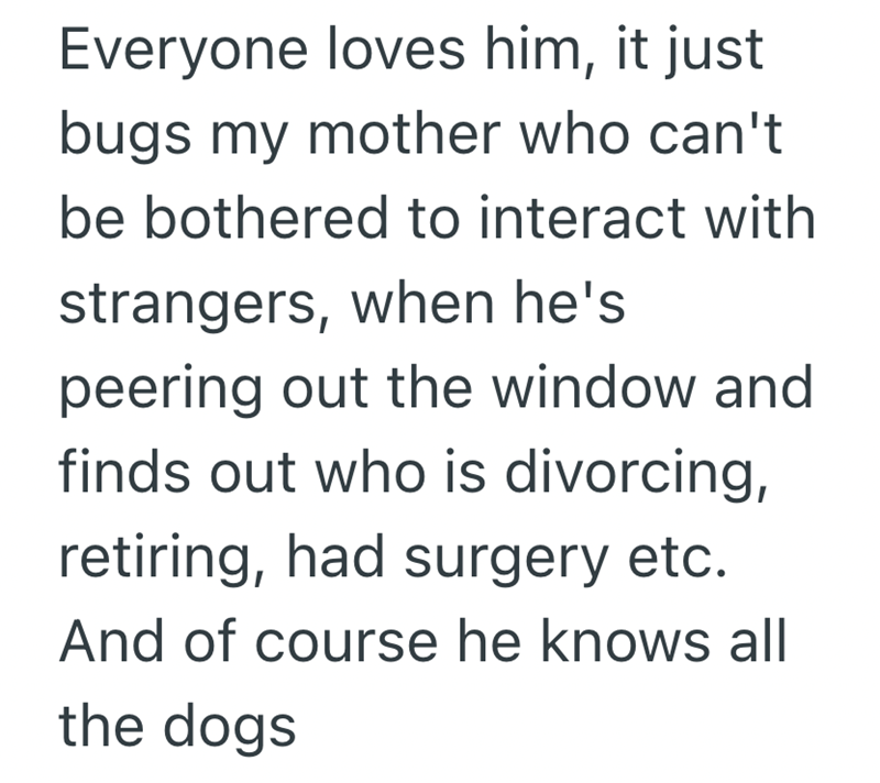 Everyone loves him, it just bugs my mother who can't be bothered to interact with strangers, when he's peering out the window and finds out who is divorcing, retiring, had surgery etc. And of course he knows all the dogs