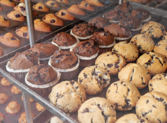 Cheezburger Image 10610419968