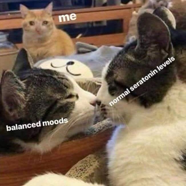 me balanced moods normal seratonin levels