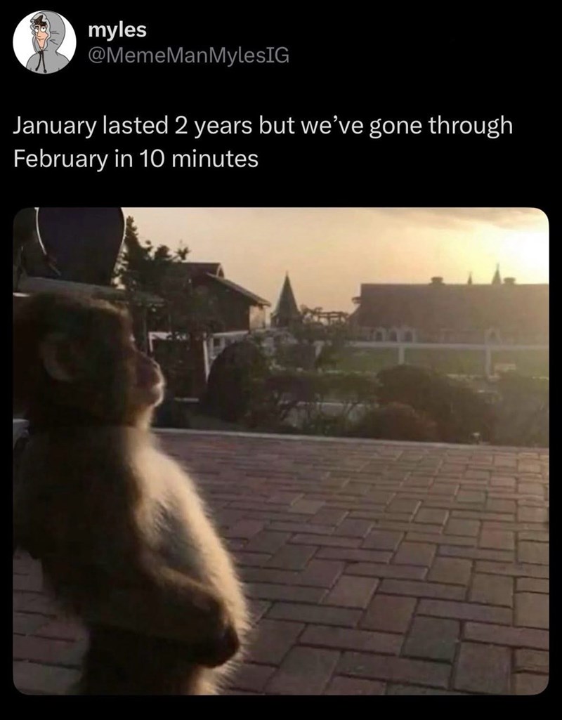 myles @MemeManMylesIG January lasted 2 years but we've gone through February in 10 minutes