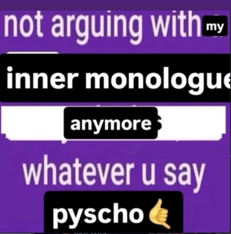 not arguing with my inner monologue anymore whatever u say pyscho