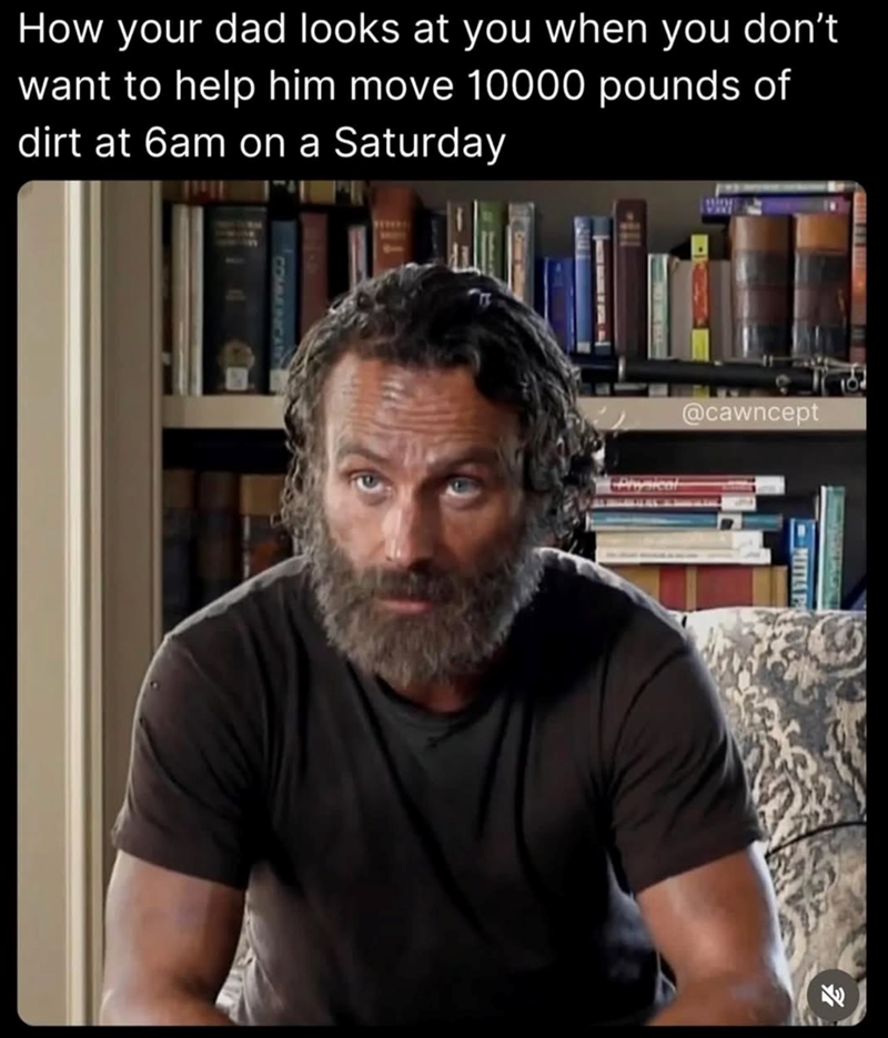 How your dad looks at you when you don't want to help him move 10000 pounds of dirt at 6am on a Saturday @cawncept -MITIA P