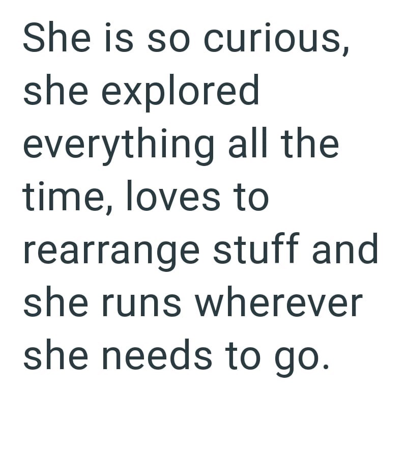 Cheezburger Image 10610438144