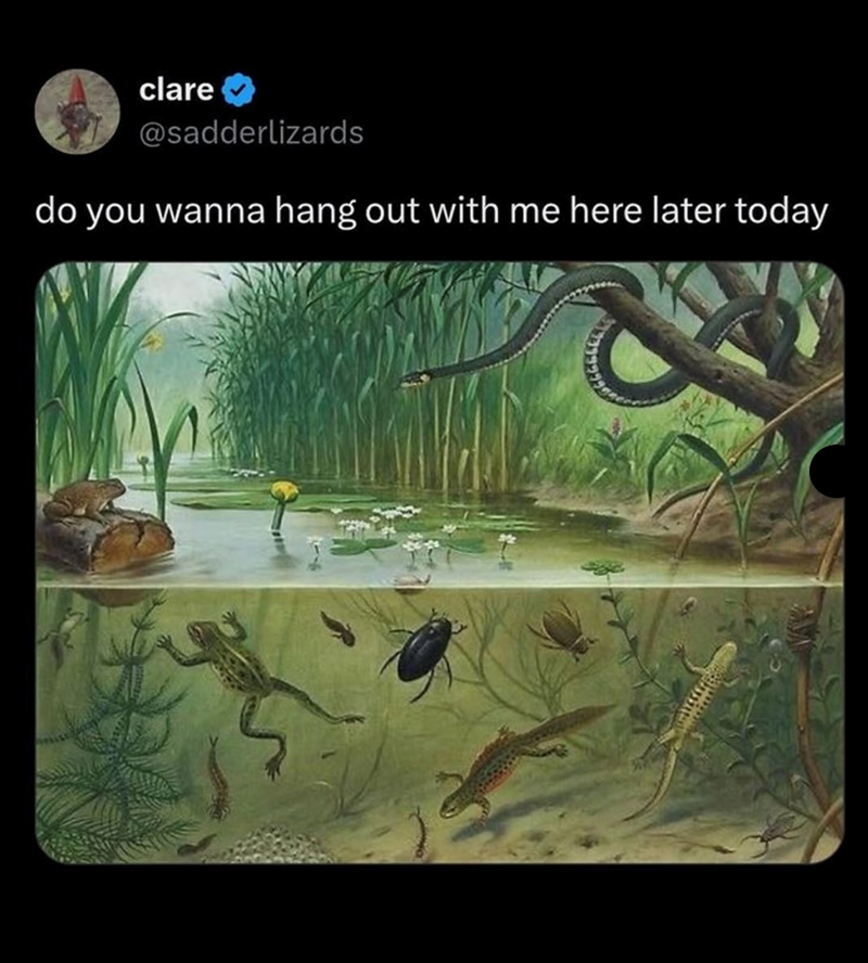 clare @sadderlizards do you wanna hang out with me here later today