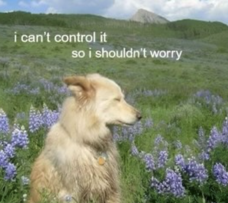 i can't control it so i shouldn't worry