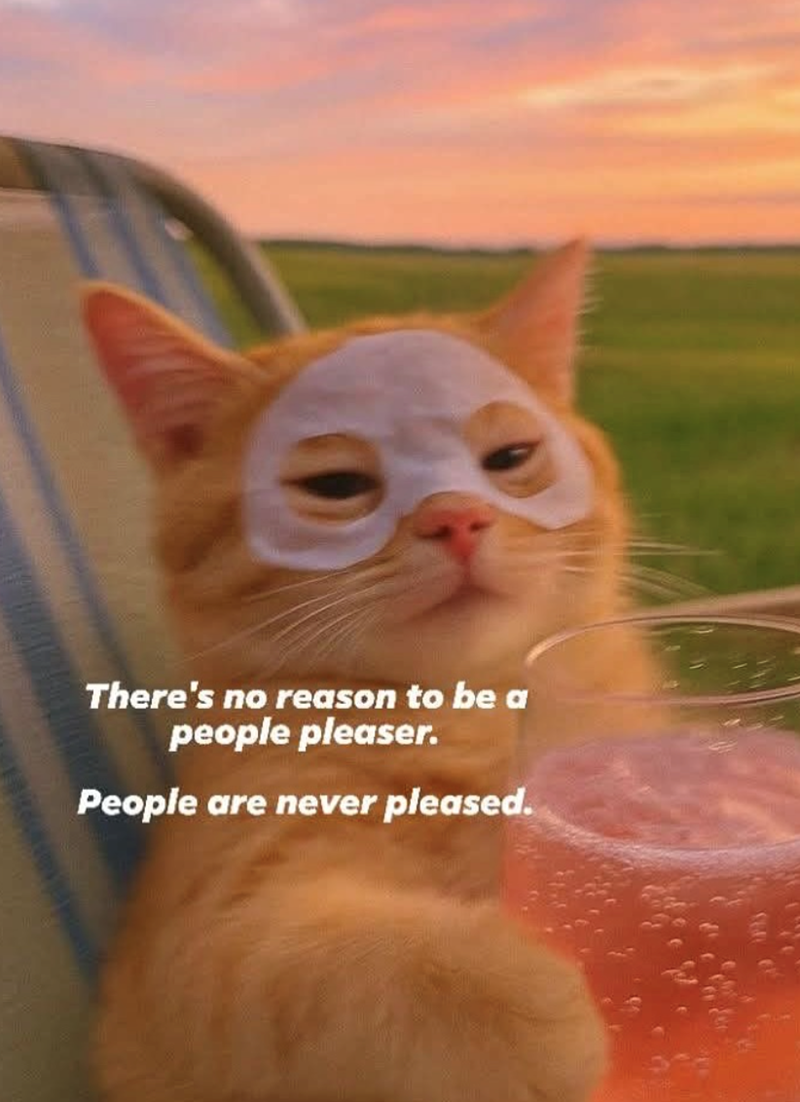 There's no reason to be a people pleaser. People are never pleased.