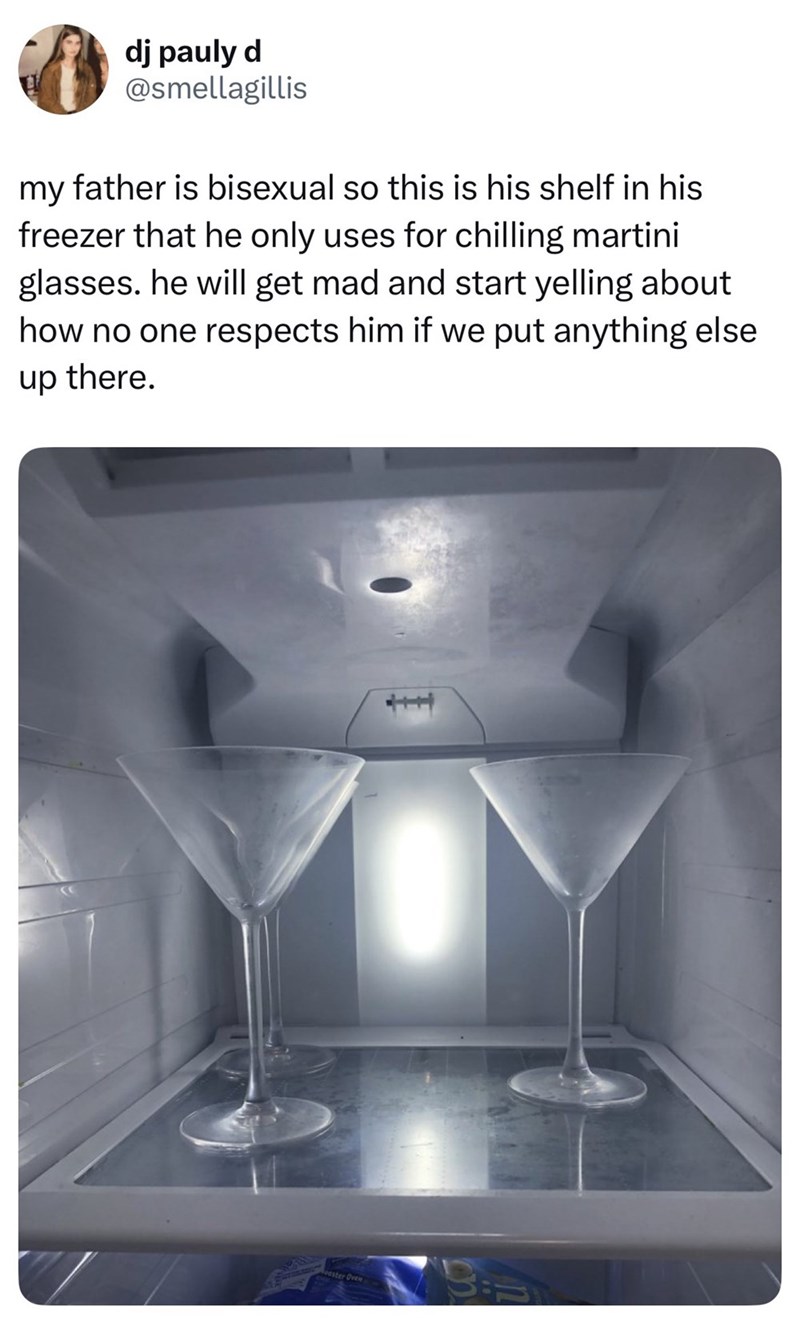 dj pauly d @smellagillis my father is bisexual so this is his shelf in his freezer that he only uses for chilling martini glasses. he will get mad and start yelling about how no one respects him if we put anything else up there. ster Oven