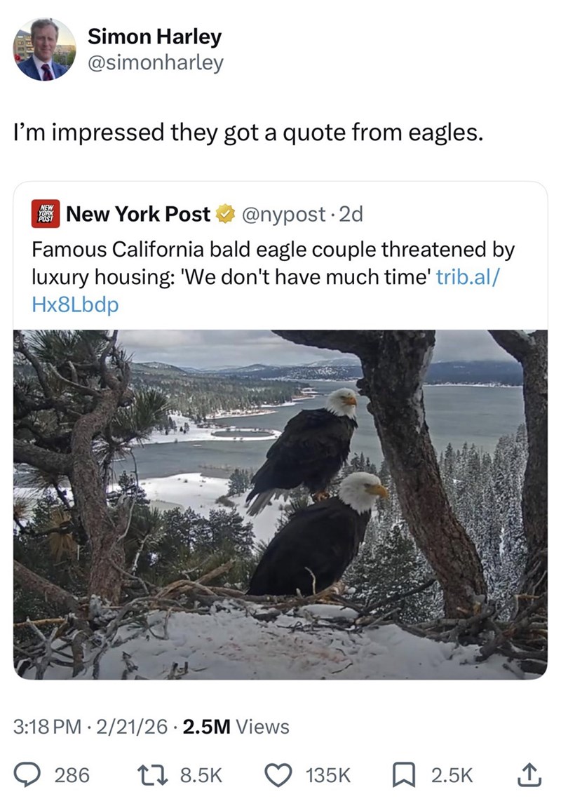 Simon Harley @simonharley I'm impressed they got a quote from eagles. NEW YORK POST New York Post @nypost. 2d Famous California bald eagle couple threatened by luxury housing: 'We don't have much time' trib.al/ Hx8Lbdp 3:18 PM 2/21/26 2.5M Views 286 17 8.5K 135K ☐ 2.5K 企