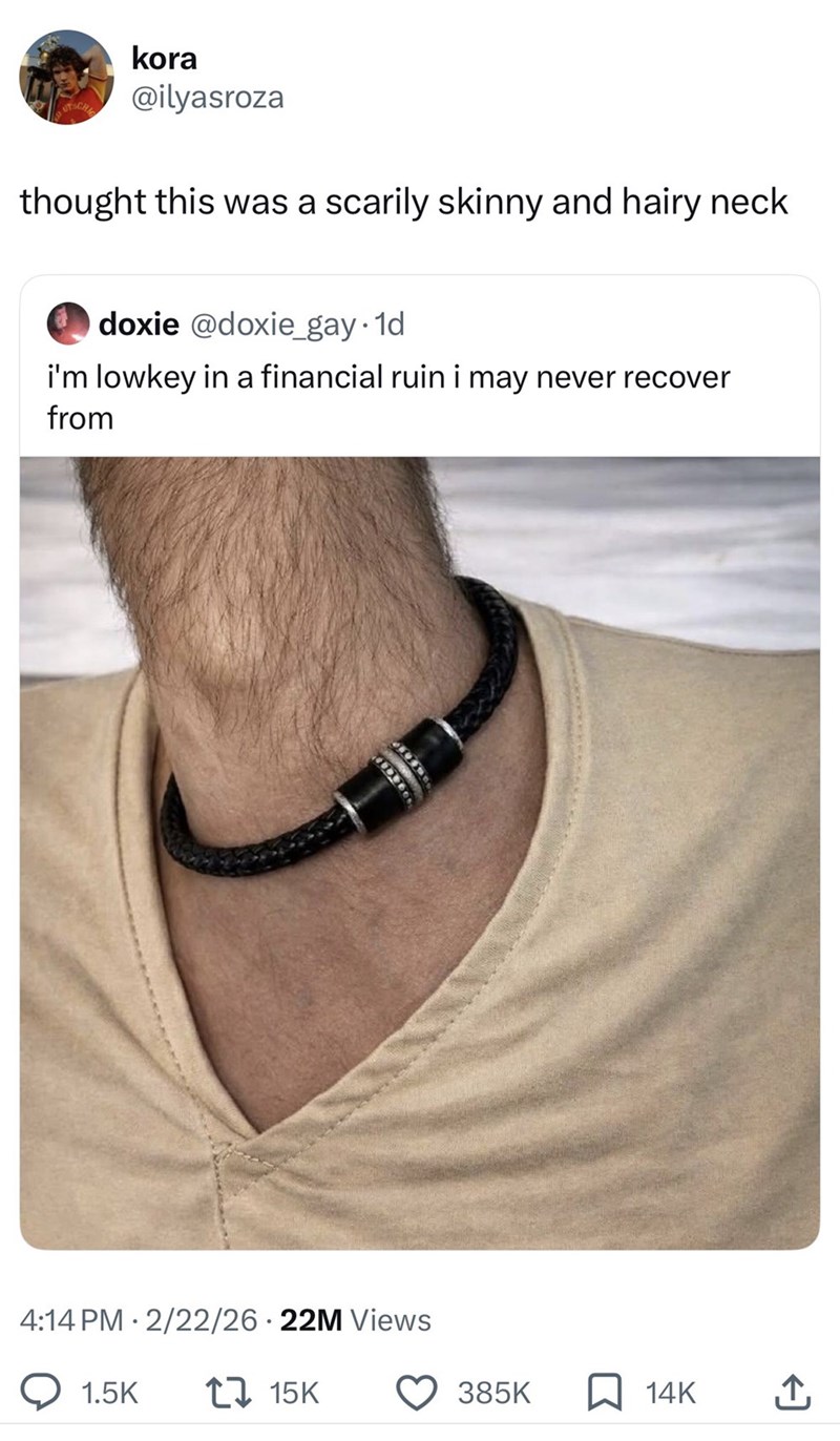 UTSCH kora @ilyasroza thought this was a scarily skinny and hairy neck doxie @doxie_gay. 1d i'm lowkey in a financial ruin i may never recover from 4:14 PM 2/22/26 22M Views 1.5K 15K 385K 14K