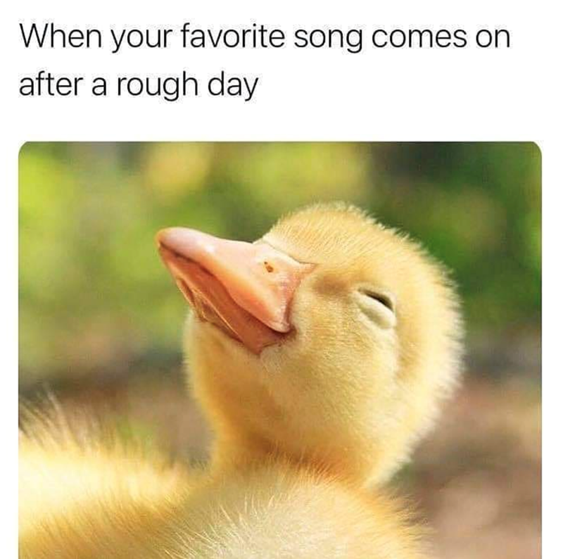When your favorite song comes on after a rough day