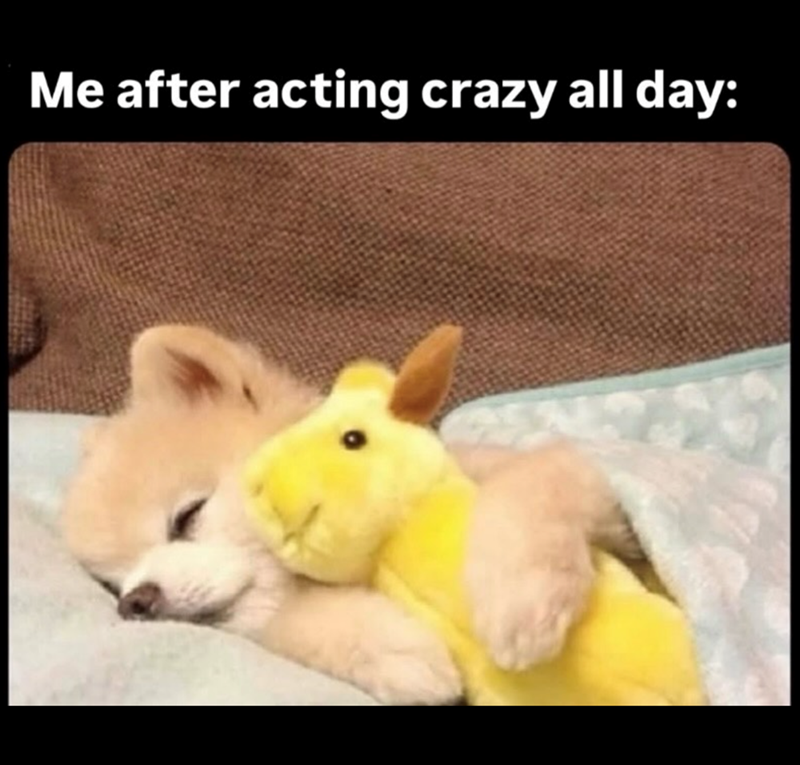 Me after acting crazy all day: