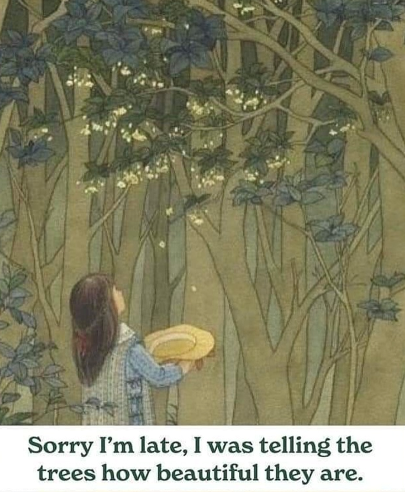 Sorry I'm late, I was telling the trees how beautiful they are.