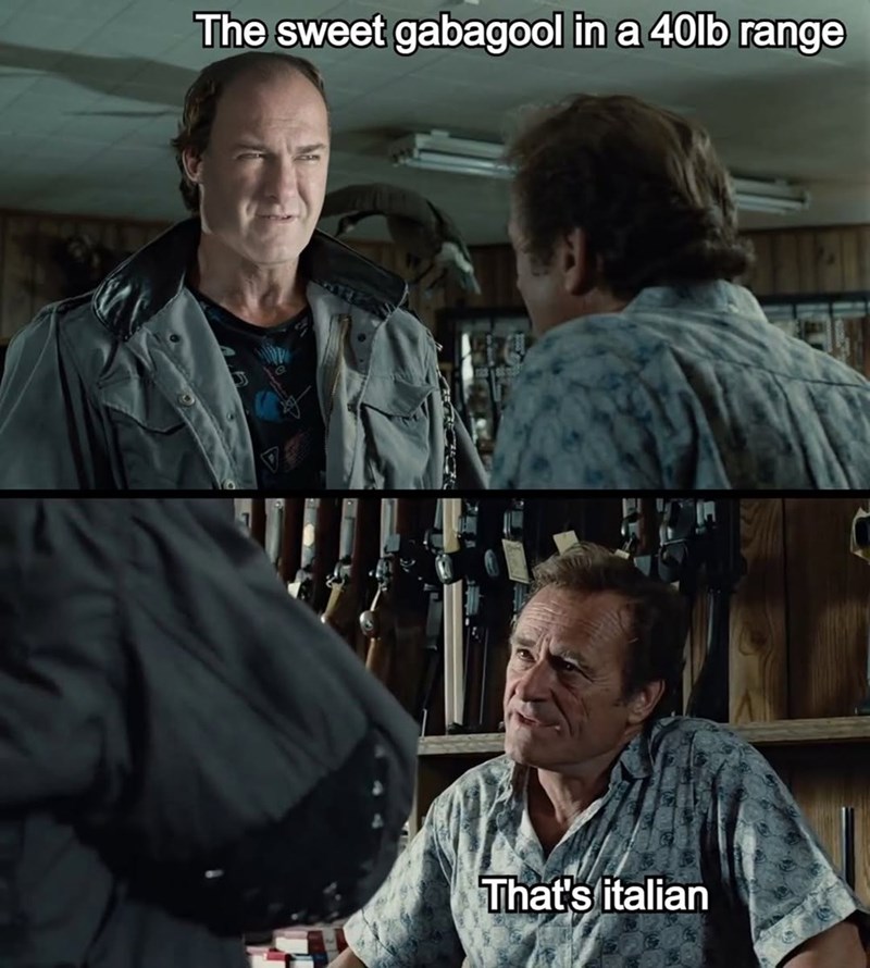 The sweet gabagool in a 40lb range That's italian