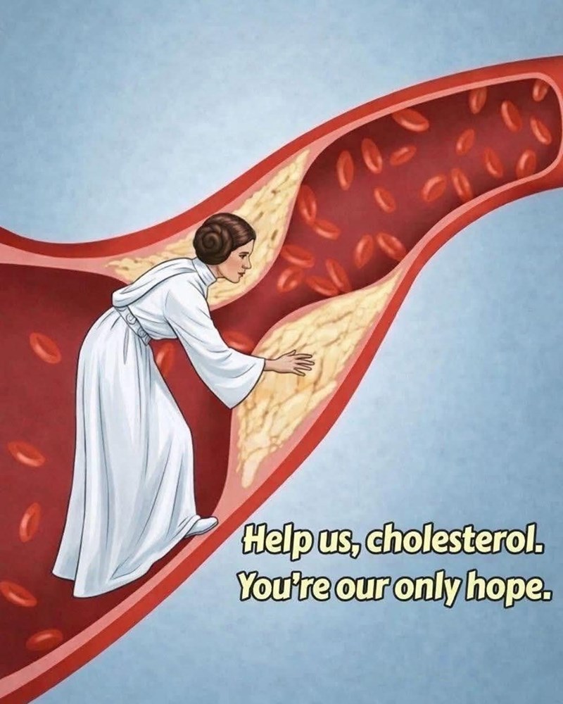 Help us, cholesterol. You're our only hope.