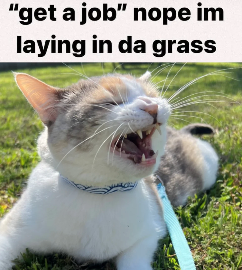 "get a job" nope im laying in da grass