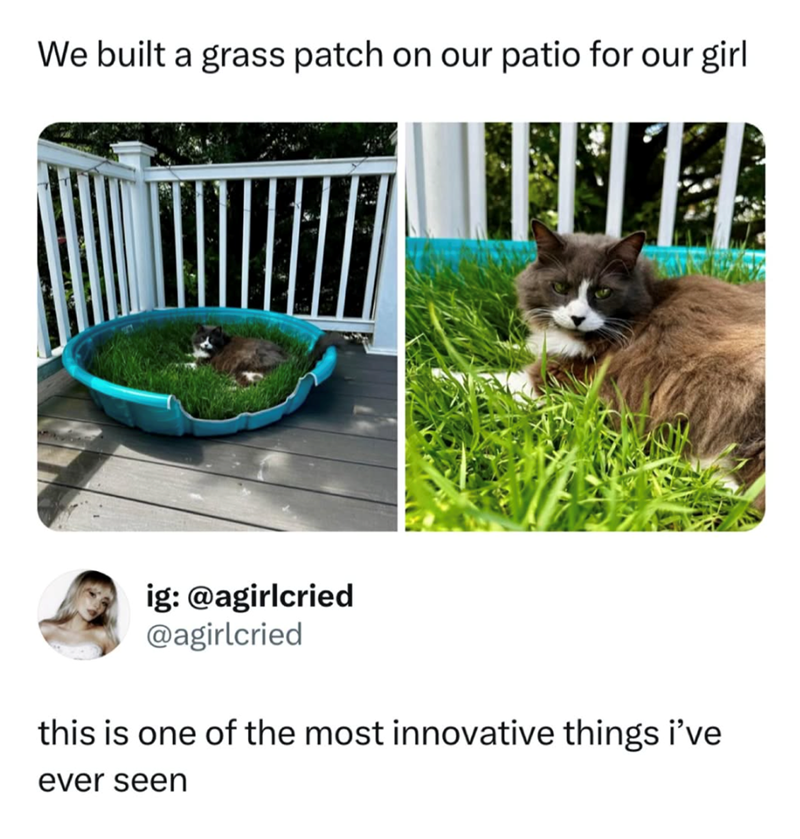 We built a grass patch on our patio for our girl ig: @agirlcried @agirlcried this is one of the most innovative things i've ever seen