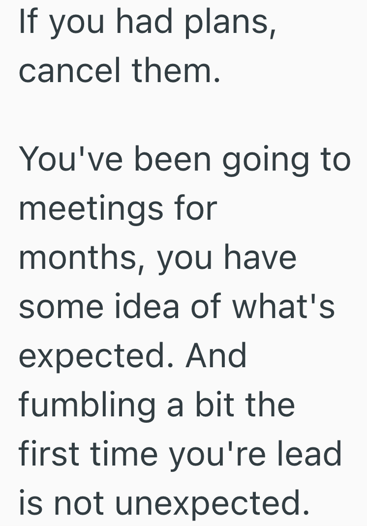 If you had plans, cancel them. You've been going to meetings for months, you have some idea of what's expected. And fumbling a bit the first time you're lead is not unexpected.