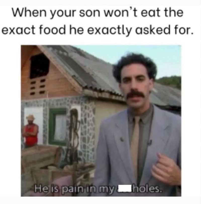 When your son won't eat the exact food he exactly asked for. He is pain in my holes.