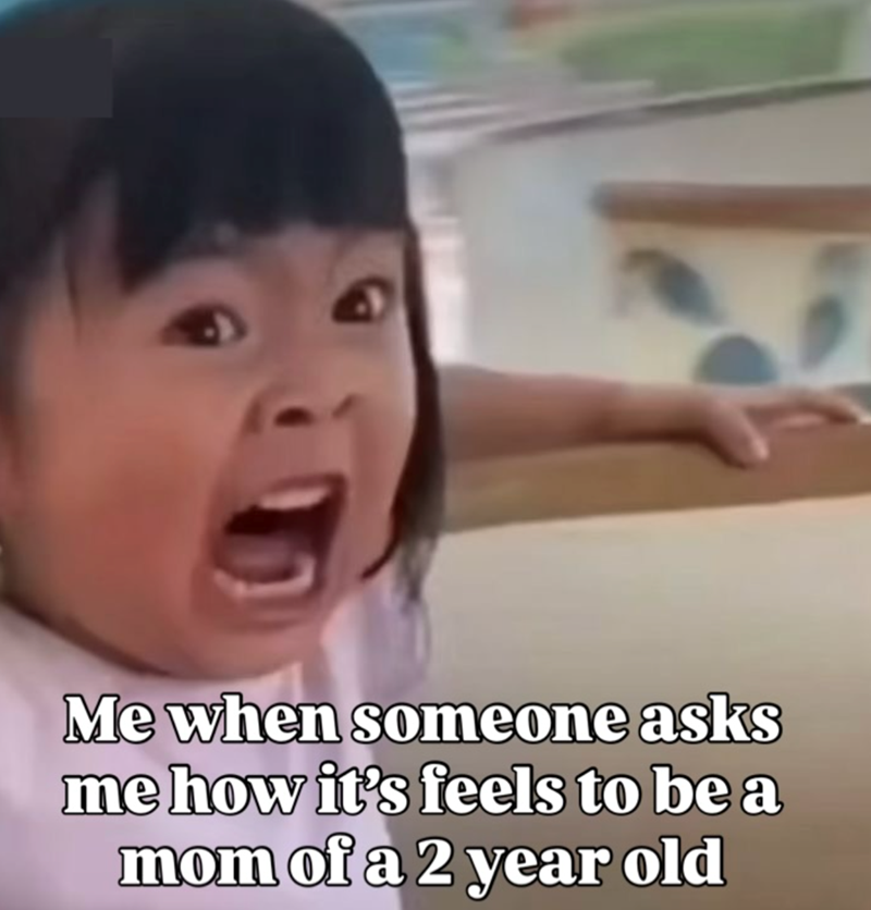 Me when someone asks me how it's feels to be a mom of a 2 year old